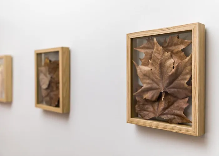 Estrela De Montesinho * ブラガンサ